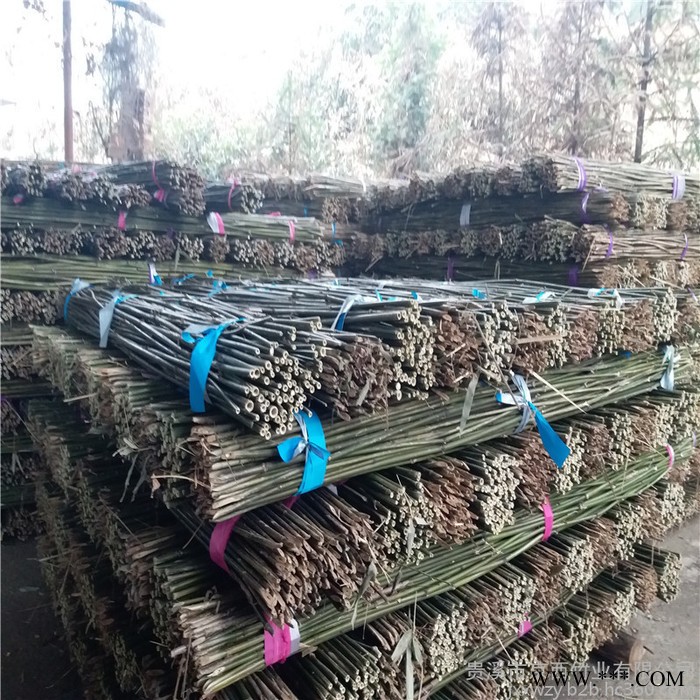 厂家供应2米5-3米山药架竿 江西发货 量大从优