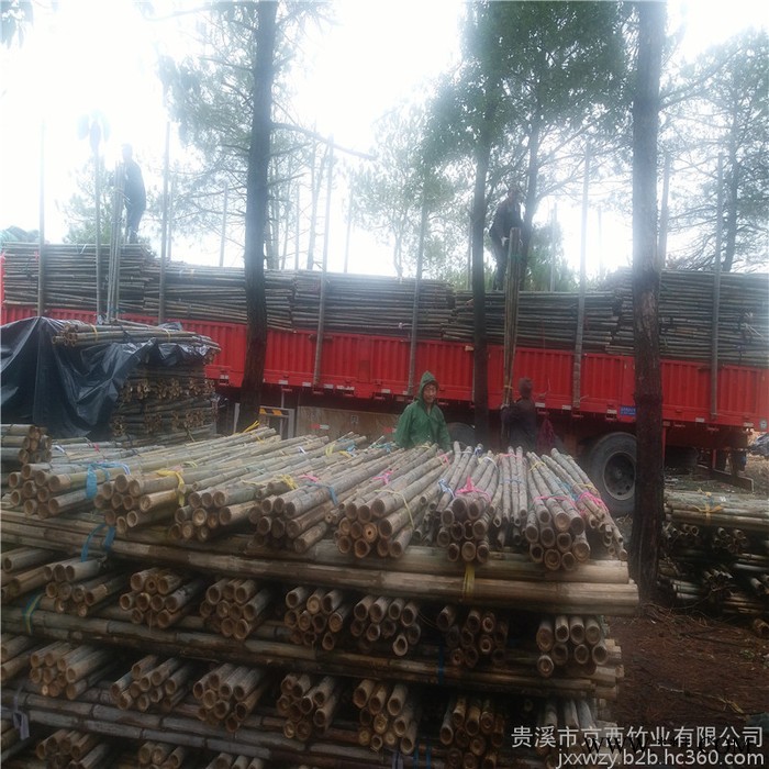 厂家供应2米5-3米山药架竿 江西发货 量大从优图5