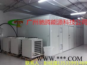 大型麦冬烘干设备图2