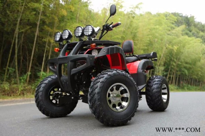 山东瀚雪冰陆两用太子车 儿童雪地摩托  冰上自行车   大黄鸭图4