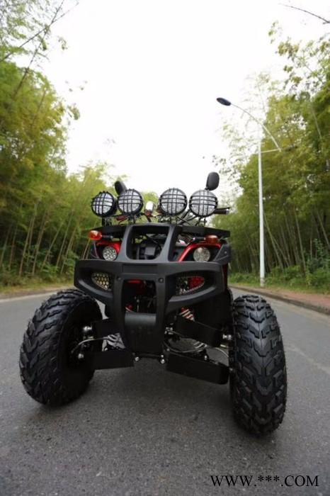 山东瀚雪冰陆两用太子车 儿童雪地摩托  冰上自行车   大黄鸭图5