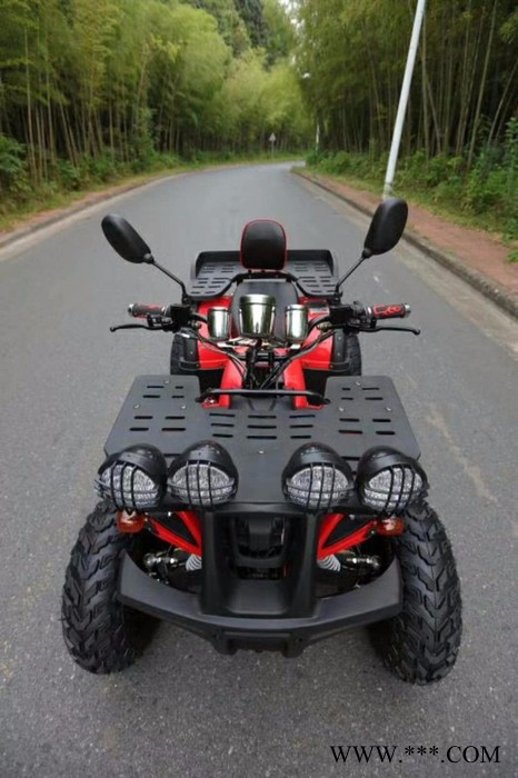 山东瀚雪冰陆两用太子车 儿童雪地摩托  冰上自行车   大黄鸭图8