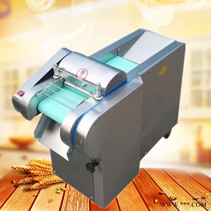 河南660型小葱切段机 鲜芸豆切丝机价格 启航山药切片机图7