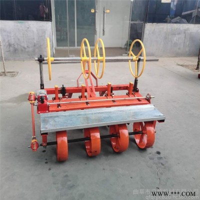 启航 柴胡播种机  带大白菜点播机