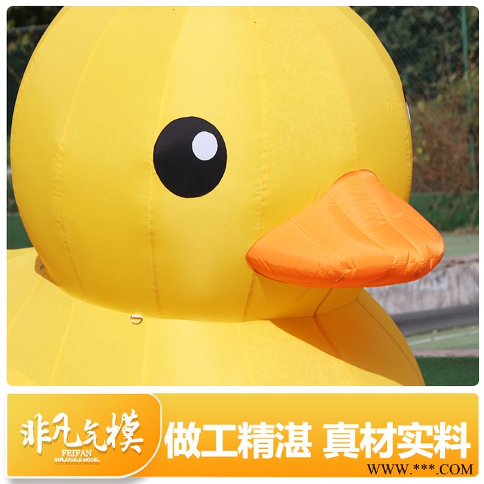 非凡气模批发 户外大型水上PVC闭气大黄鸭 景区广告小黄鸭模型 充气鸭子卡通气模 香港闭气大黄鸭  水上大黄鸭气模图4