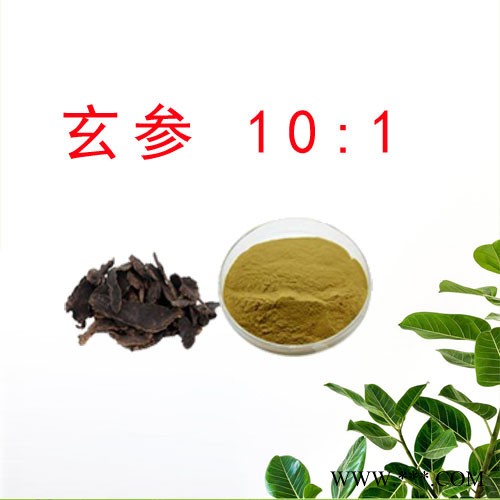 森杰生物  玄参提取物  10:1（20:1）  植物提取物   黑参图7