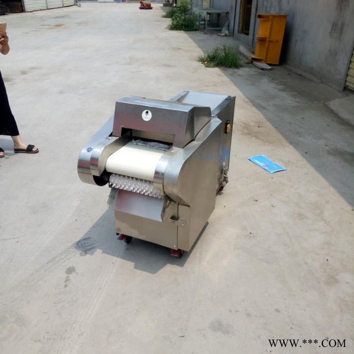 启航不锈钢萝卜切丁机 白菜切丝机价格 食堂山药切片机图6