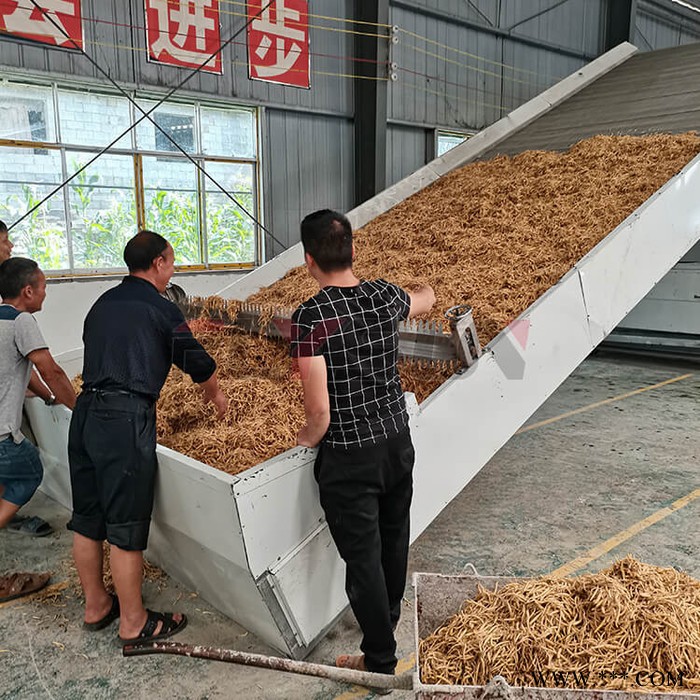 太子参烘干机 设备 太子参连续烘干机 方信机械图4