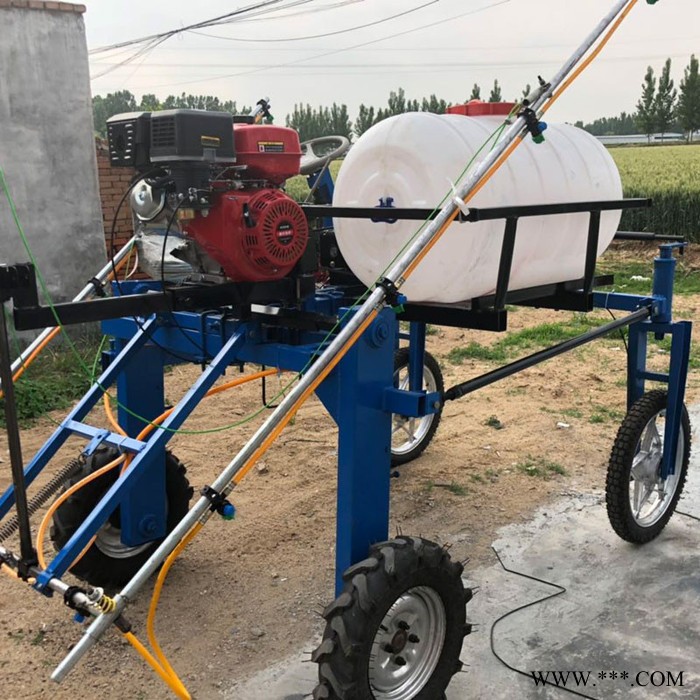 手推式山药打虫打药机 框架式拉管打药机 果园打药机厂家图8