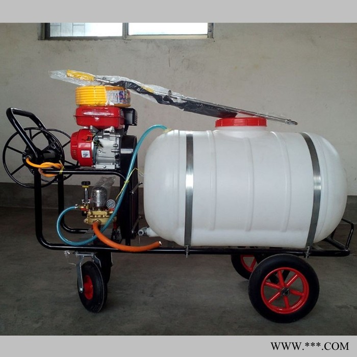 手推式山药打虫打药机 框架式拉管打药机 果园打药机厂家图2