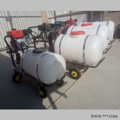 手推式山药打虫打药机 框架式拉管打药机 果园打药机厂家