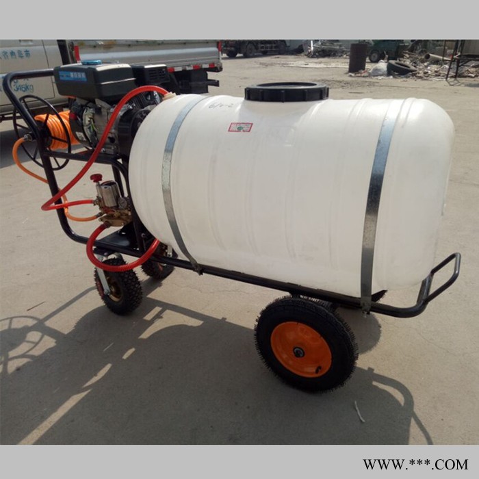 手推式山药打虫打药机 框架式拉管打药机 果园打药机厂家图3