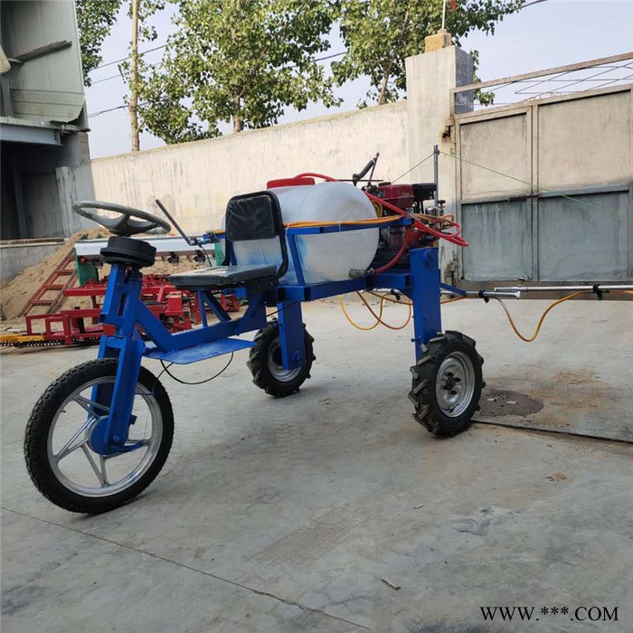 手推式山药打虫打药机 框架式拉管打药机 果园打药机厂家图4