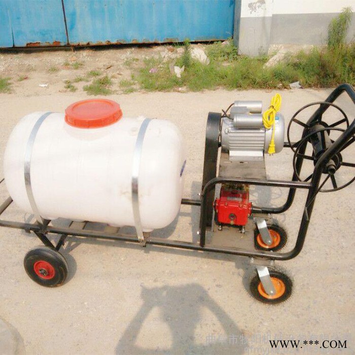 小麦果园高压喷药机 担架式山药种植打药机 手推式园林打药机图7