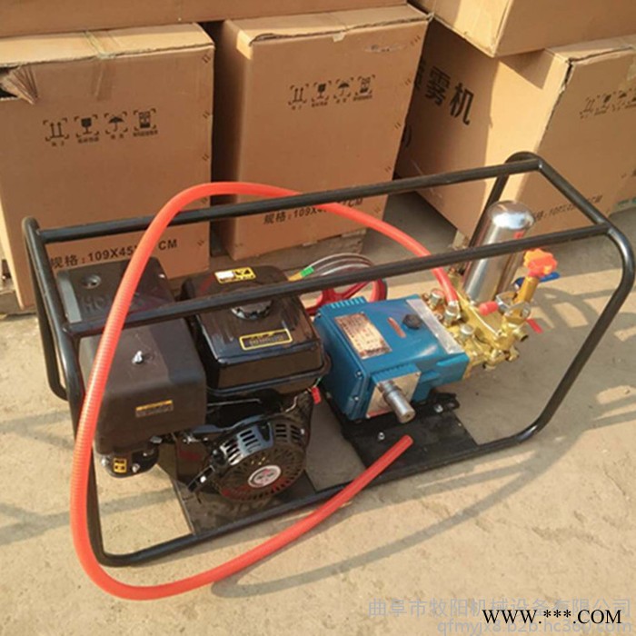 小麦果园高压喷药机 担架式山药种植打药机 手推式园林打药机图3