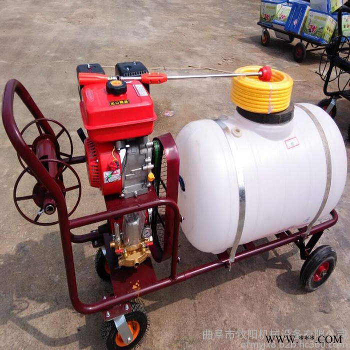 小麦果园高压喷药机 担架式山药种植打药机 手推式园林打药机图5