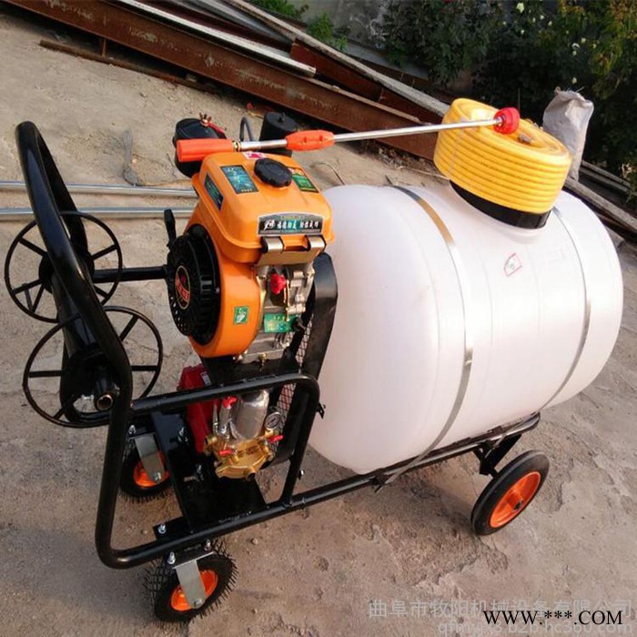 小麦果园高压喷药机 担架式山药种植打药机 手推式园林打药机图8