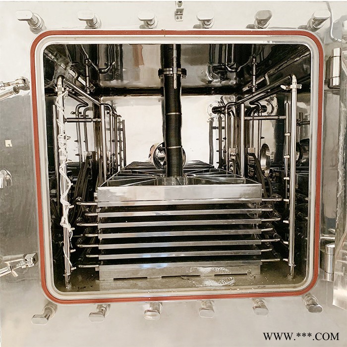 山药冻干机 冷冻干燥机 果蔬冻干机 药材冻干机图2