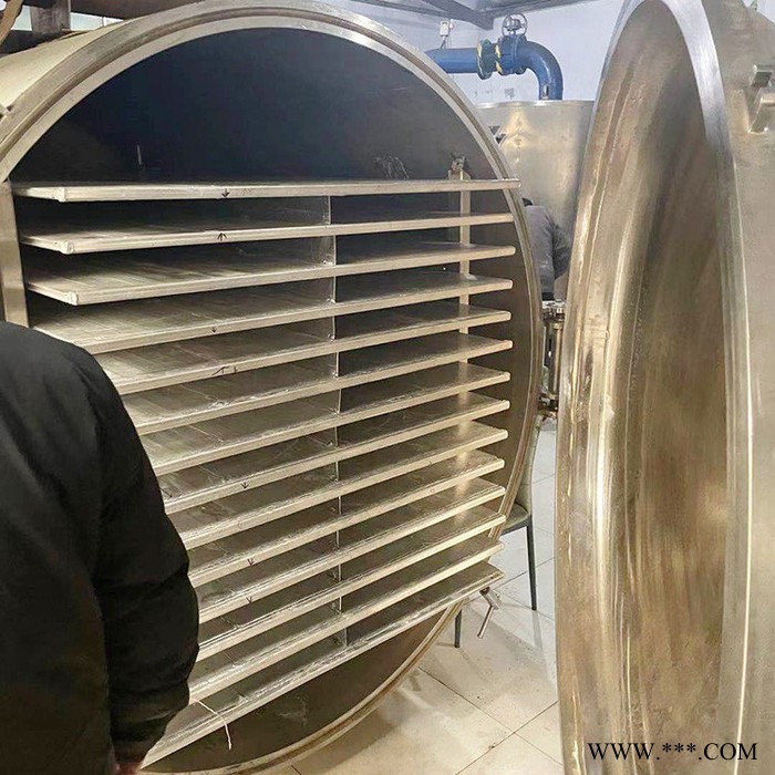 山药冻干机 冷冻干燥机 果蔬冻干机 药材冻干机图6