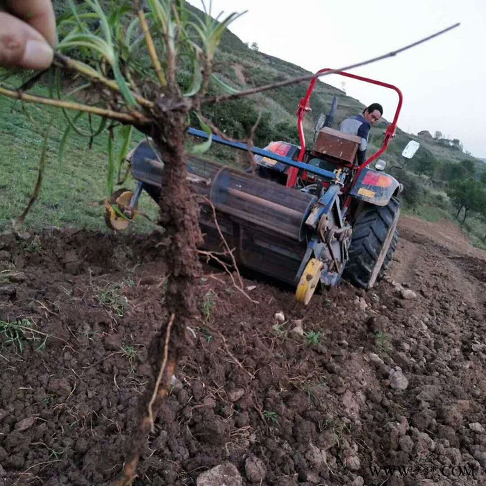 农康药材收获机 收柴胡机器 起党参药材的机子 入土深带震动的药材收获机 挖蒲公英党参的机器图2