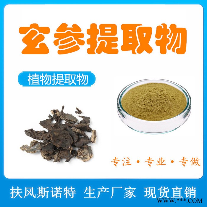 玄参提取物 厂家现货 玄参粉 水溶性元参提取物图5