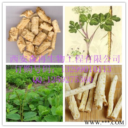 北沙参提取物**植物提取图3