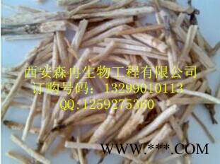 北沙参提取物**植物提取图2