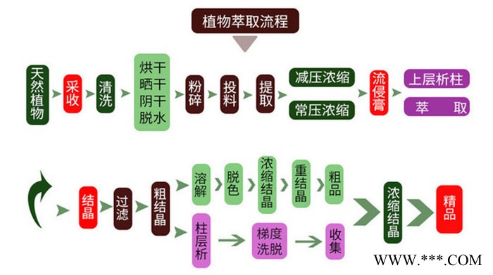 山药浸膏粉  山药多糖  浸膏  山药提取物  多种规格供应图2
