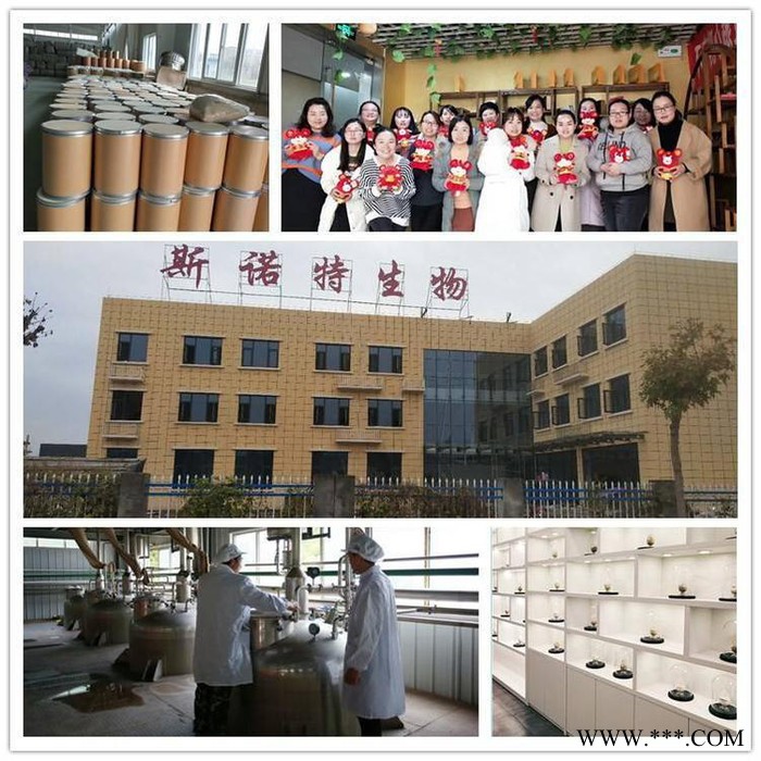 山药速溶粉  山药粉  山药浸膏  食品原料粉 多种规格供应图7