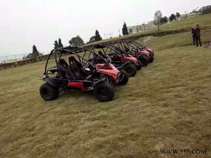 山东瀚雪独轮逍遥车 大黄鸭  四驱越野  电动吉普图5