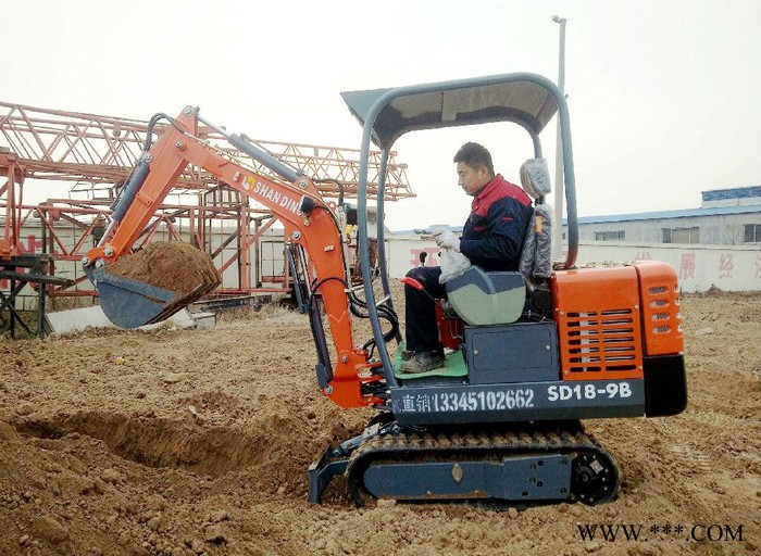 山东挖山药机  山鼎小型挖掘机  **  冰点价格图3