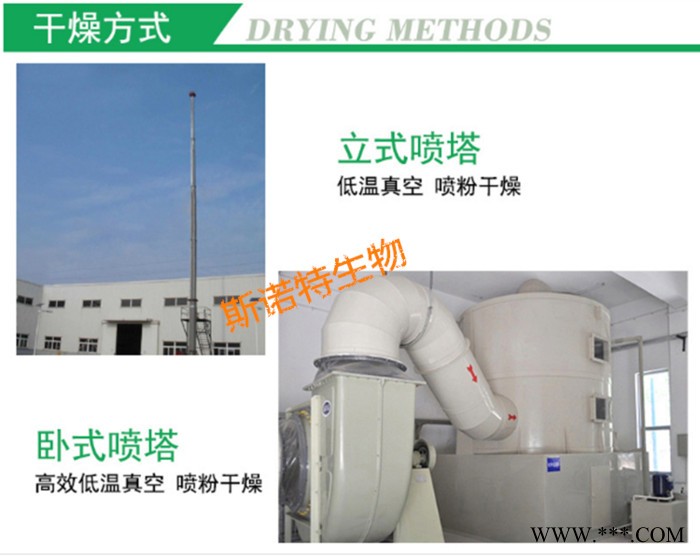 太子参提取物 太子参皂甙 水溶性太子参粉 斯诺特生物图4