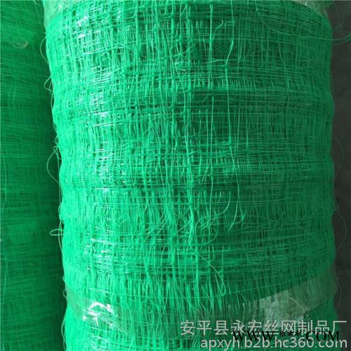 永宏供应 植物爬藤方孔网  山药支架塑料方孔网  绿化塑料方孔网  植物支架网图4
