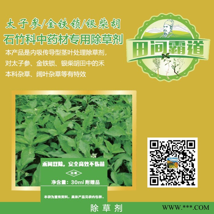 太子参 金铁锁 银柴胡 石竹科中药材专用除草剂  禾阔双除 安全高效不伤苗 太子参 金铁锁 银柴胡 石竹科除草剂图2