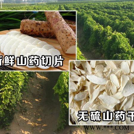 南洋DWSY山药烘干机 山药片烘干机 新型山药烘干机 山药烘干机价格 带式山药烘干机 专业山药烘干机设备 山药烘干设备图2