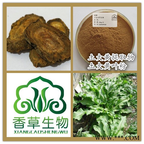 土大黄提取物 厂家批发红筋大黄粉 土大黄根流浸膏现货图3