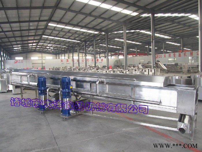 强力高效的生姜清洗机  网带式山药去泥设备图3