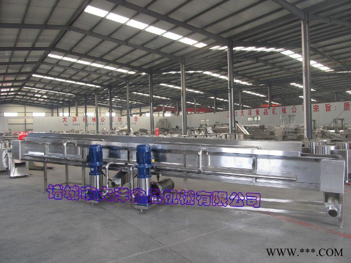 强力高效的生姜清洗机  网带式山药去泥设备图2