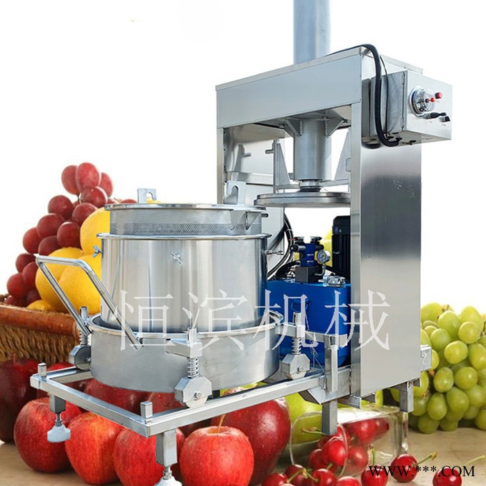 恒滨HB-300X2 液压压榨机 大黄压榨机 苦参压榨机 压榨机厂家 奇异果压榨机图2