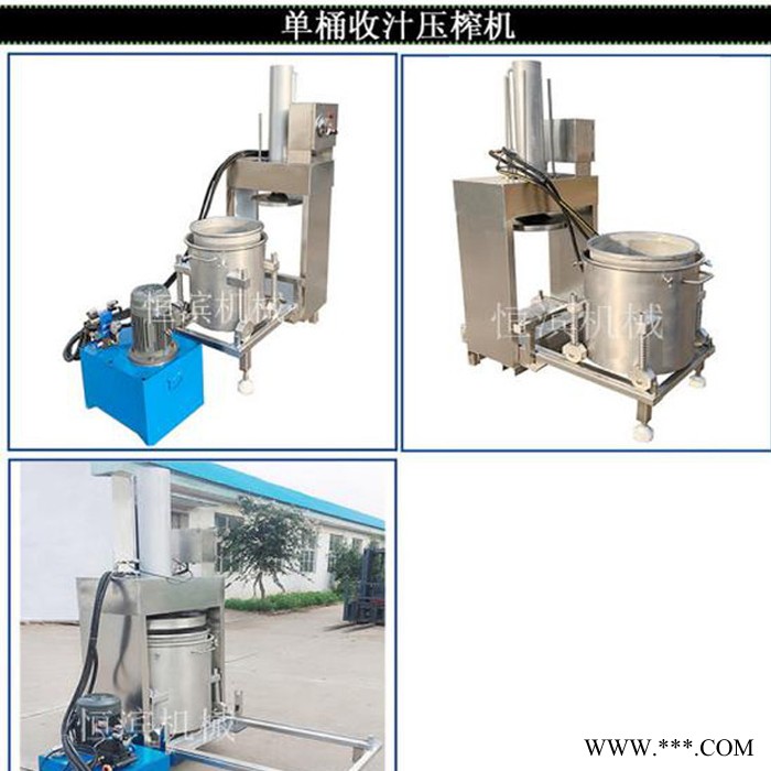 恒滨HB-300X2 液压压榨机 大黄压榨机 苦参压榨机 压榨机厂家 奇异果压榨机图3