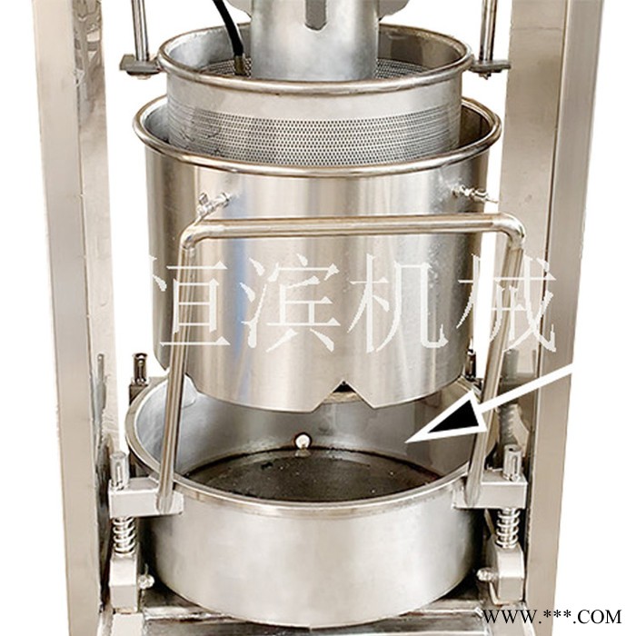 恒滨HB-300X2 液压压榨机 大黄压榨机 苦参压榨机 压榨机厂家 奇异果压榨机图5