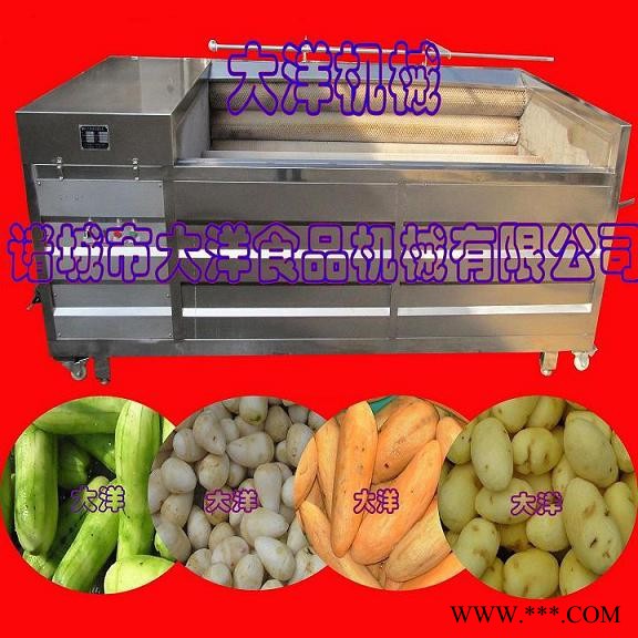 大洋牌山药清洗脱皮机，无伤型毛刷式桔梗脱皮设备图2