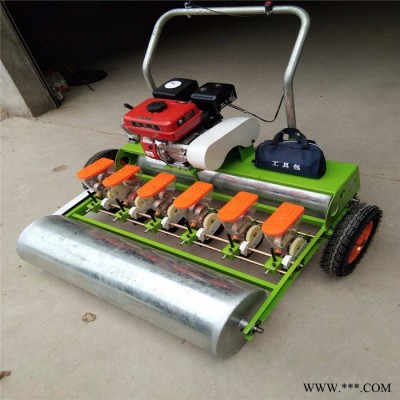 圆盘小麦播种机图片 旱稻播种机 免间苗小柴胡播种机**