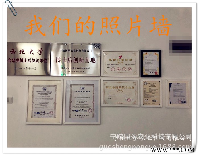 宁陕国圣 赤小豆粉 贯叶连翘粉 番泻叶粉 麦冬粉 巴西莓粉