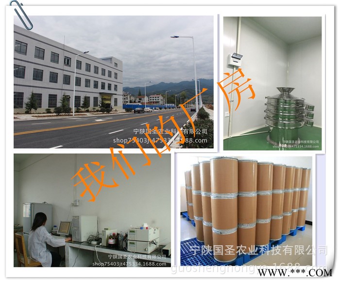 宁陕国圣 赤小豆粉 贯叶连翘粉 番泻叶粉 麦冬粉 巴西莓粉图2