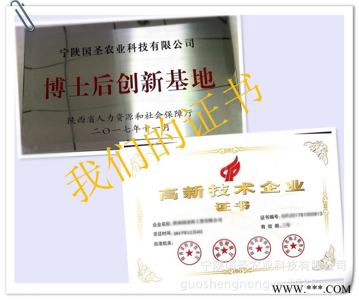 宁陕国圣 赤小豆粉 贯叶连翘粉 番泻叶粉 麦冬粉 巴西莓粉图4