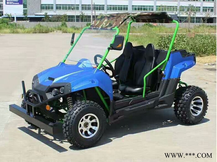 山东瀚雪电动雪地车   成人滑雪板   雪鞋  儿童卡丁车 大黄鸭图2