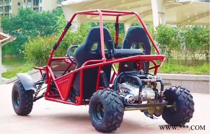 山东瀚雪电动雪地车   成人滑雪板   雪鞋  儿童卡丁车 大黄鸭图5