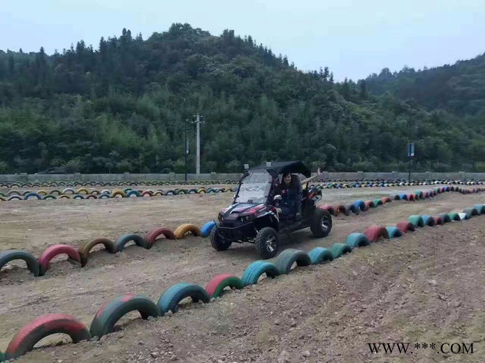 山东瀚雪电动雪地车   成人滑雪板   雪鞋  儿童卡丁车 大黄鸭图7