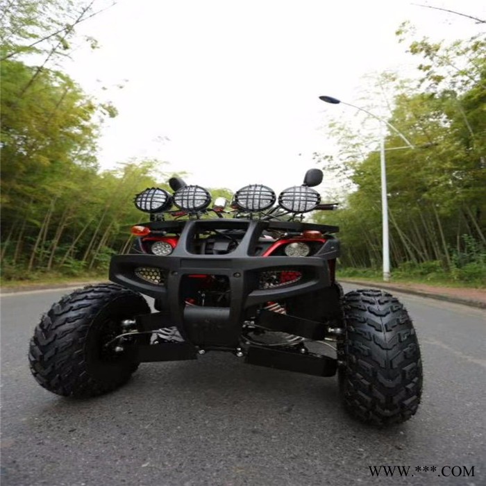 山东瀚雪雪地转转 滑雪板 雪地摩托  三排香蕉船 大黄鸭图8